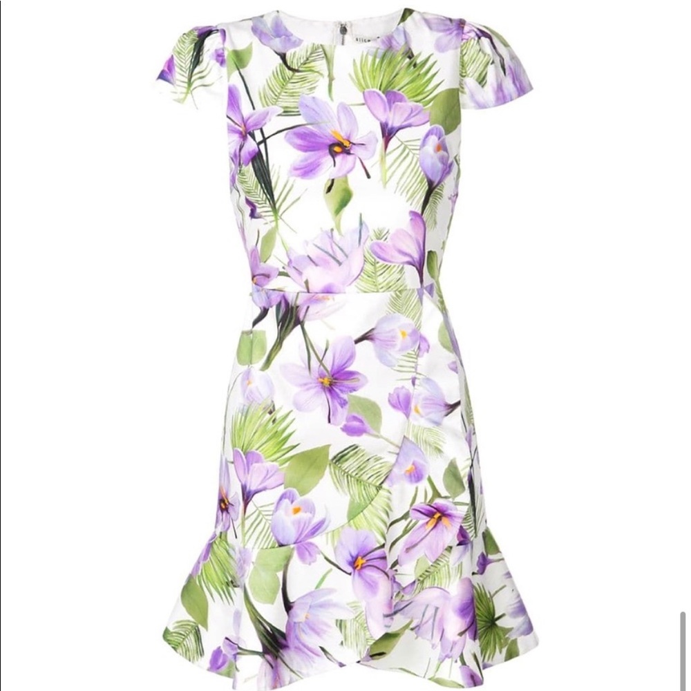 Alice & Olivia adorable dress - never worn